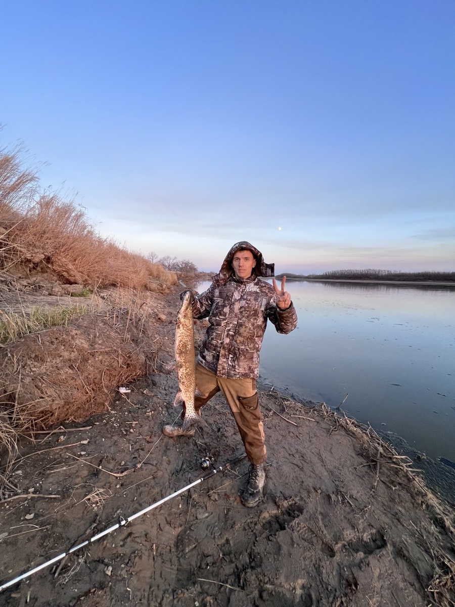 Дорогие мои подписчики, делюсь с вами не самыми радостными (по крайней мере для меня) новостями.
Если вы следите за новостями на платформе, то уже знаете, что видеоконтент на Дзене не монетизируется и не получает поддержку в виде показов. Иными словами, видео теперь не набирают охваты, почти не видны читателям и ничего не приносят авторам. А значит — теряют смысл оставаться здесь.Но я буду грузить видео с премиум подпиской, кто со мной тот со мной,видео уже можно смотреть тут заходите - https://dzen.ru/video/watch/680a44d0562f220a110bf13e