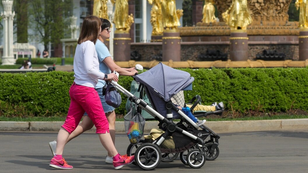    Фото: Shatokhina Natalia/Globallookpress