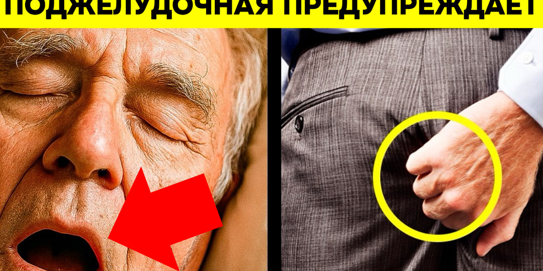 13 тихих звоночков от поджелудочной, которые мы легко пропускаем