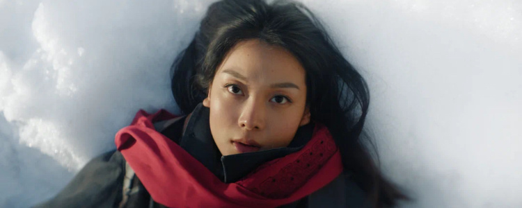 Чжэн Ханьи в роли Ван Лин