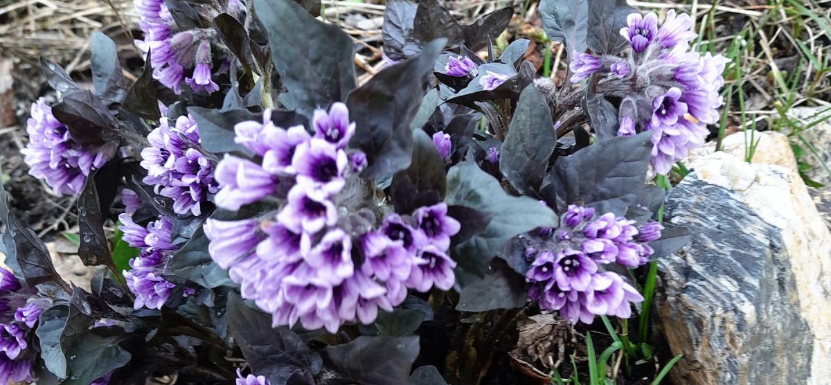 Фото автора канала