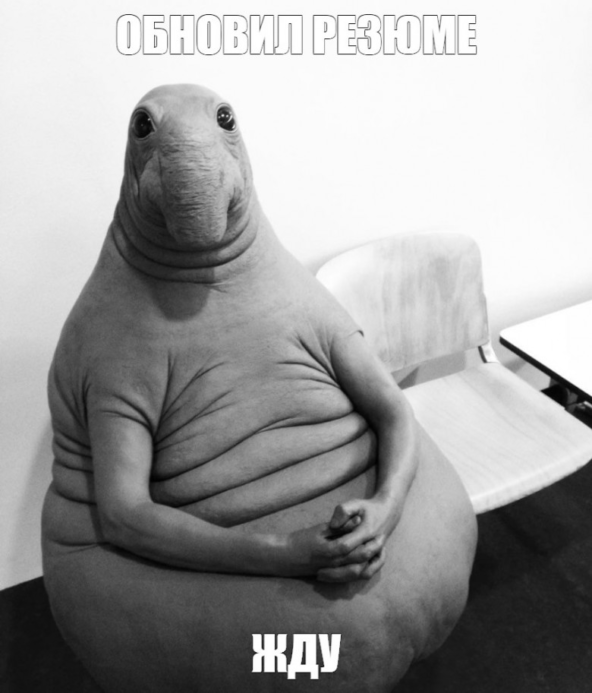 Ждун резюме