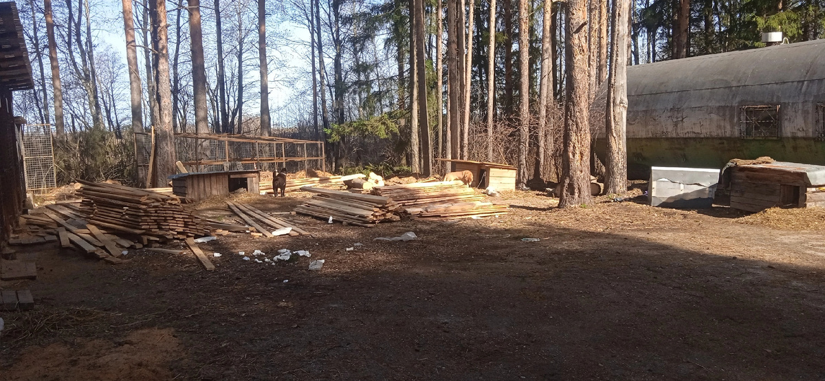 Работы у нас всегда невпроворот!