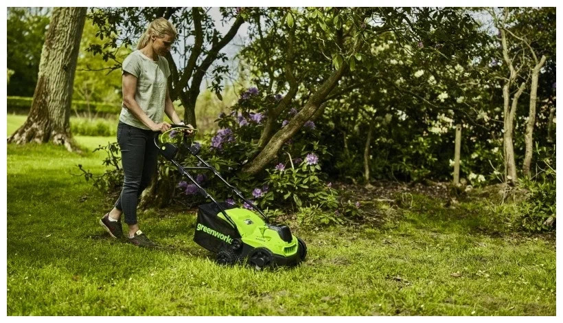 Рейтинг аккумуляторных вертикуттеров 2025