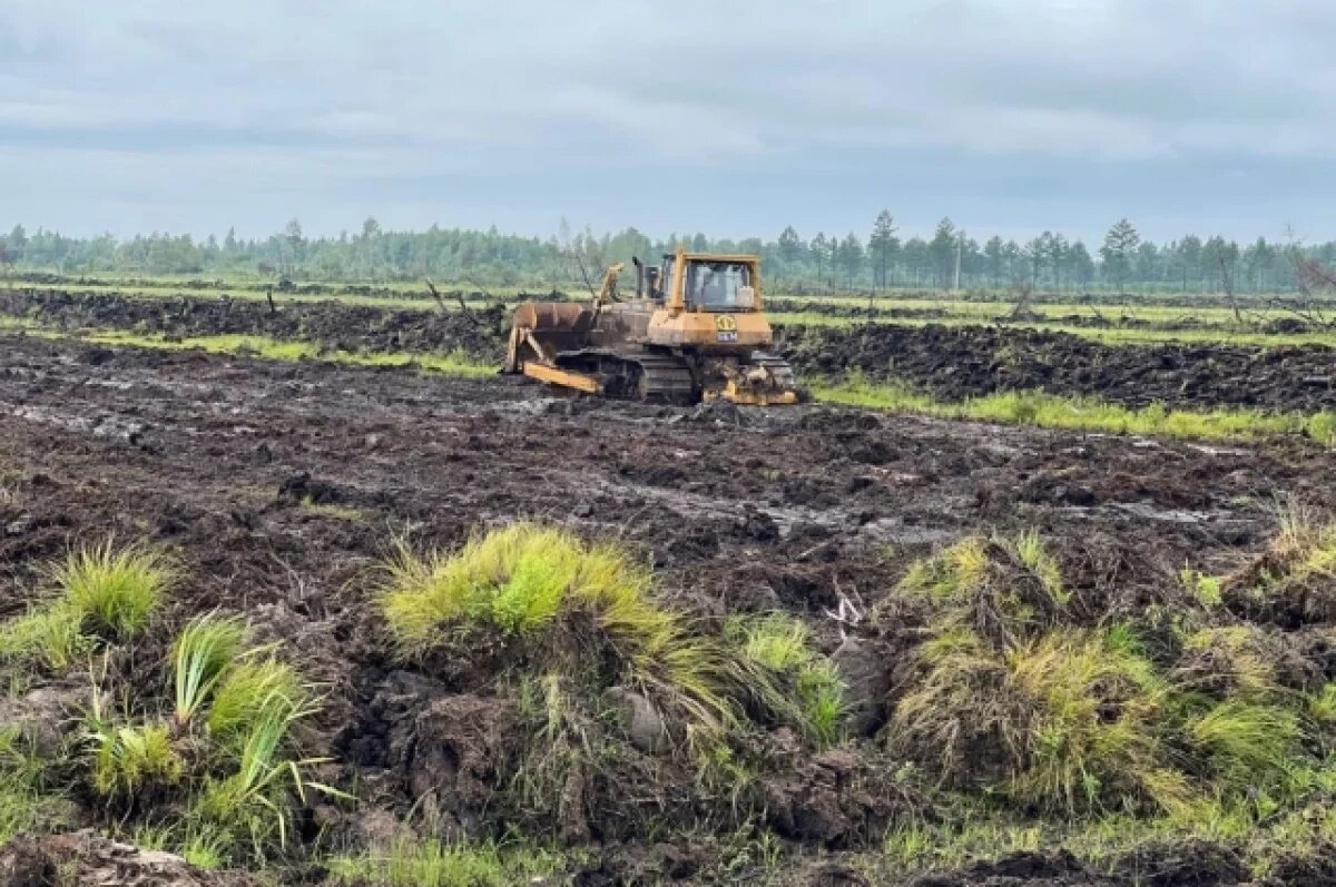    В Тверской области нашли более 17 га заросших пашен
