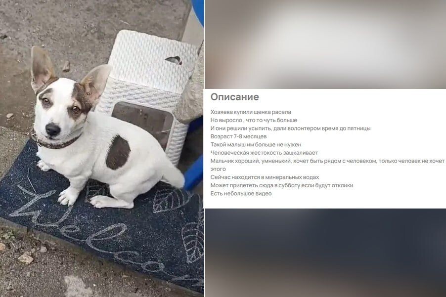     / Источник: © Соцсети