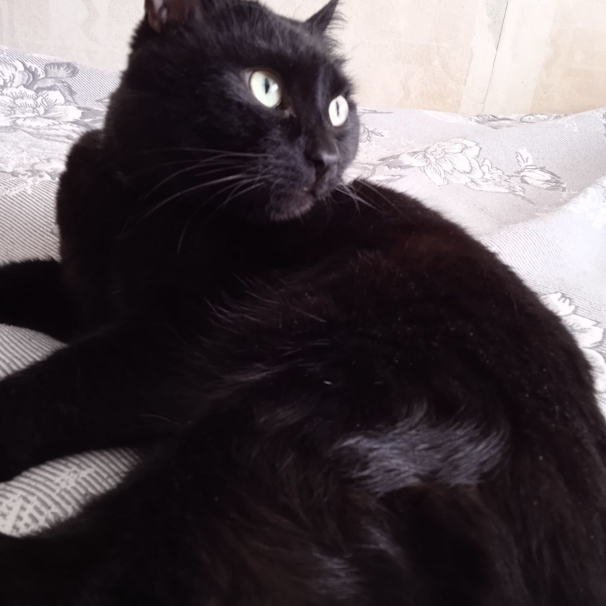 Фото автора.