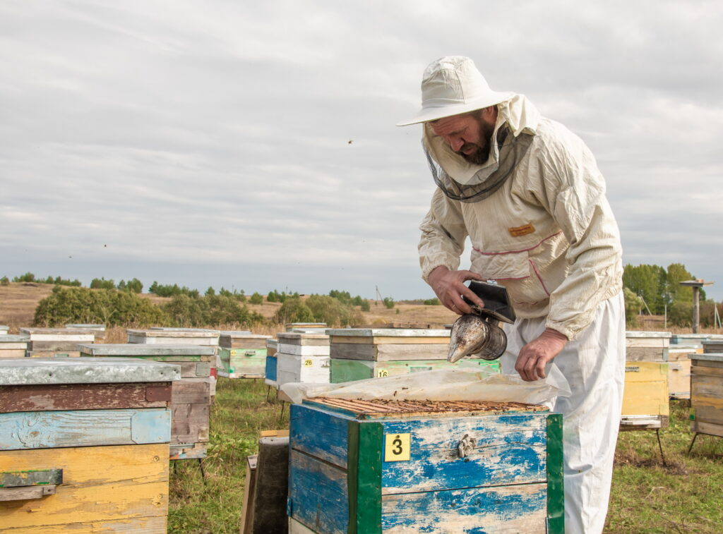 У Анатолия Струйкина из деревни Кармалка нет ни минуты свободного времени — более 50 ульев требуют постоянного внимания. Выпуск от 30 октября 2021 года
