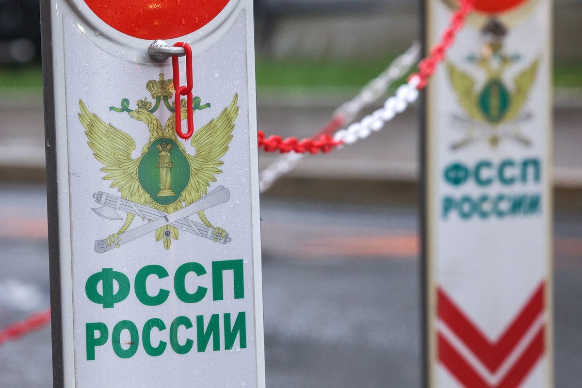    Источник: Алексей Белкин/Бизнес Online/ТАСС