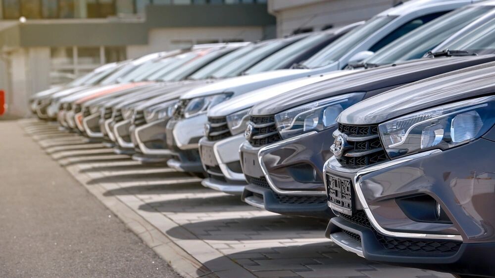    Фото: Tricky_Shark/Shutterstock/Fotodom