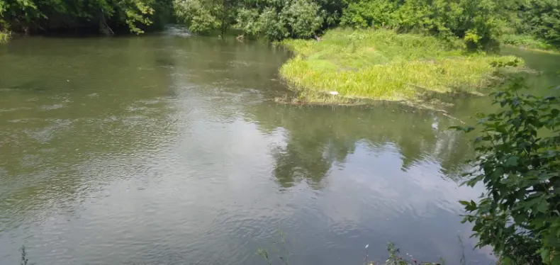 Слияние двух рек Сок (слева) и Сургут (справа) https://ok.ru/profile/597090886453/statuses/154827424093493