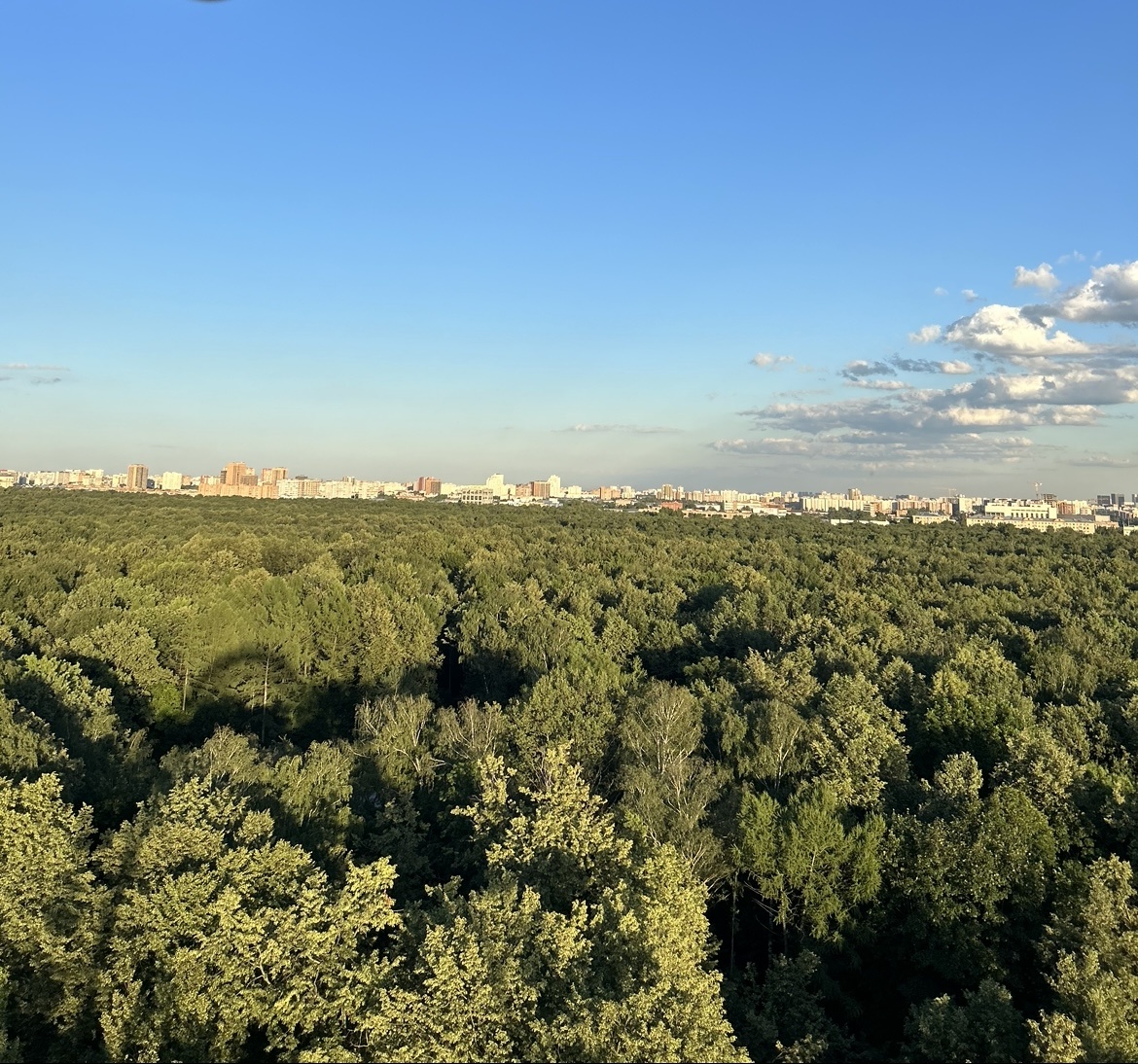 Мне всегда нравилось смотреть с высоты