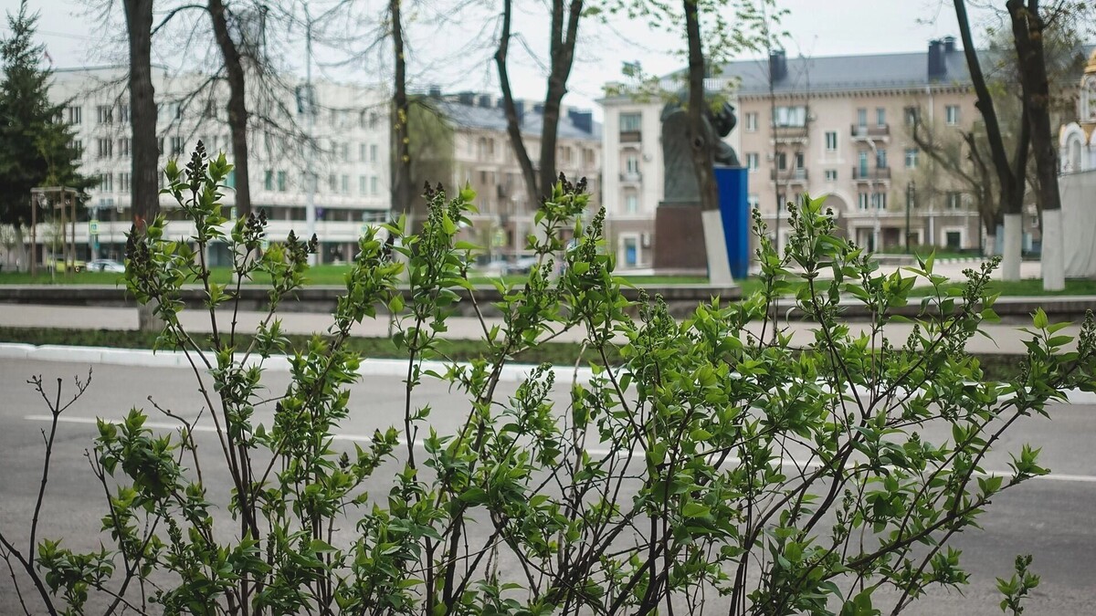     Источник: 1MI