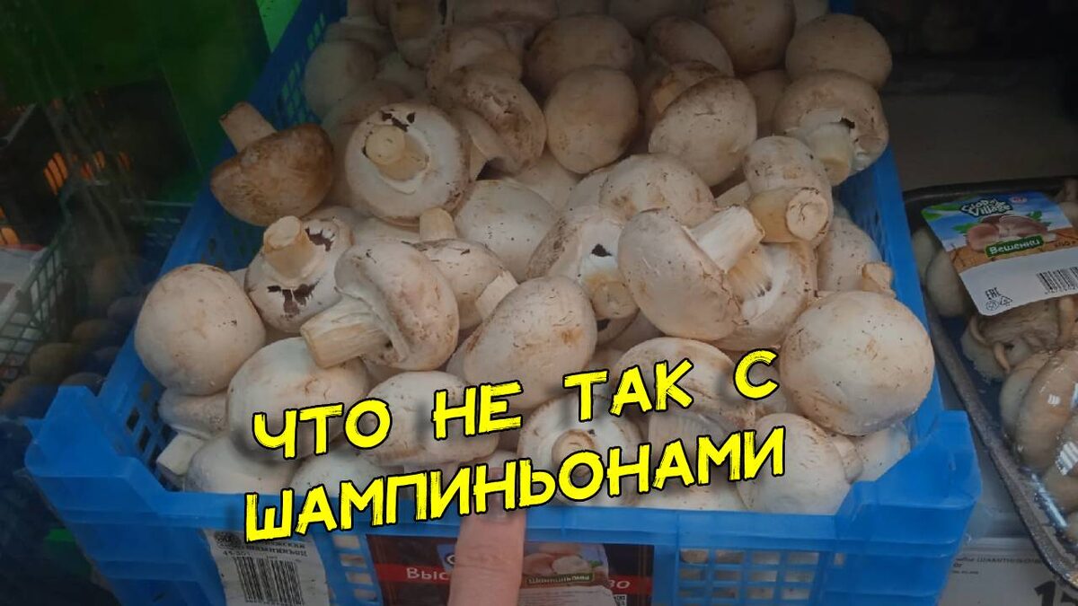 Магазинный шампиньон оказался ядовитым