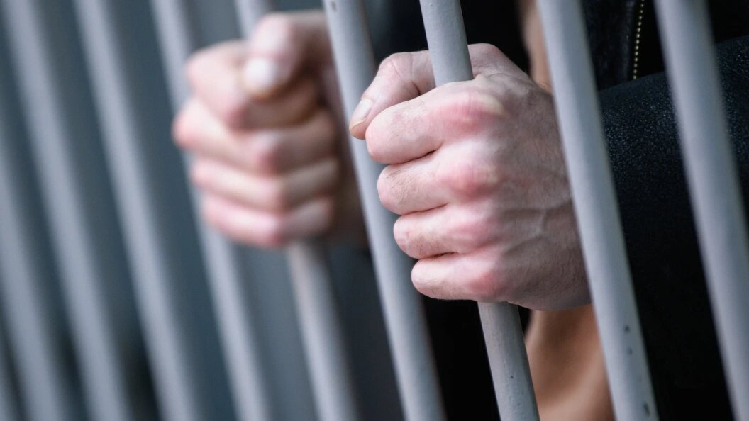    Фото: Ilya Moskovets/Globallookpress