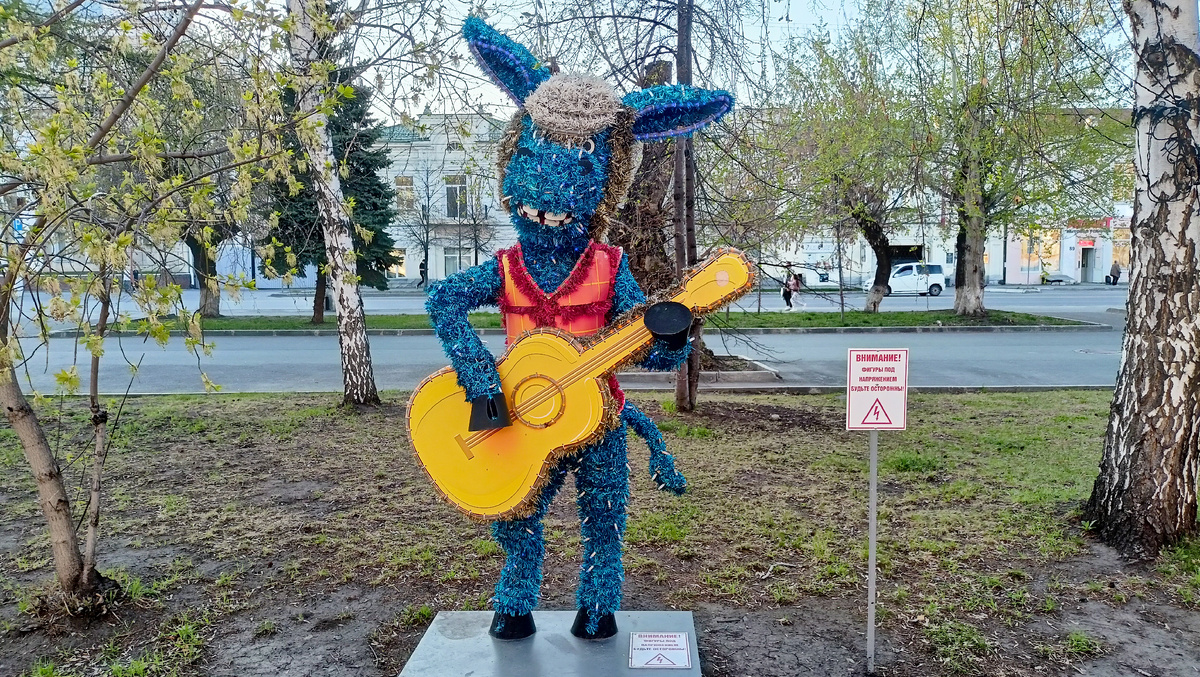 Осёл играет на акустической гитаре 