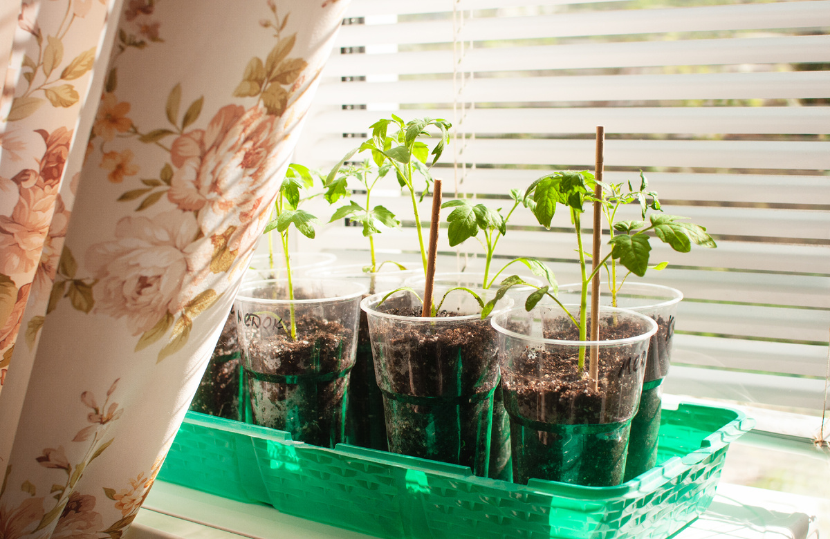 Личное фото