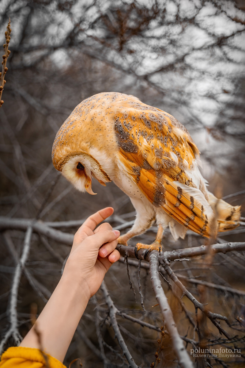 Фотограф Валентина Полунина