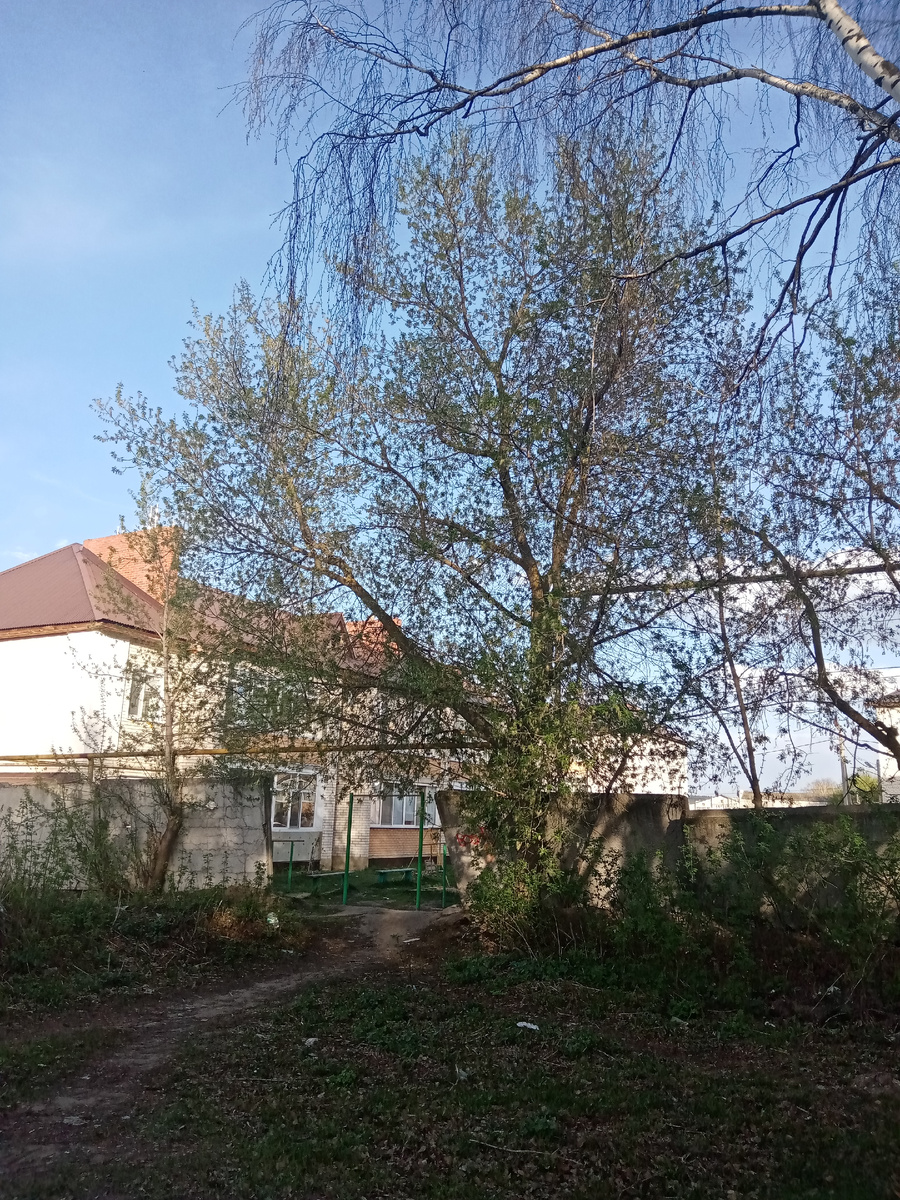 Вторник, ездила к родителям. 