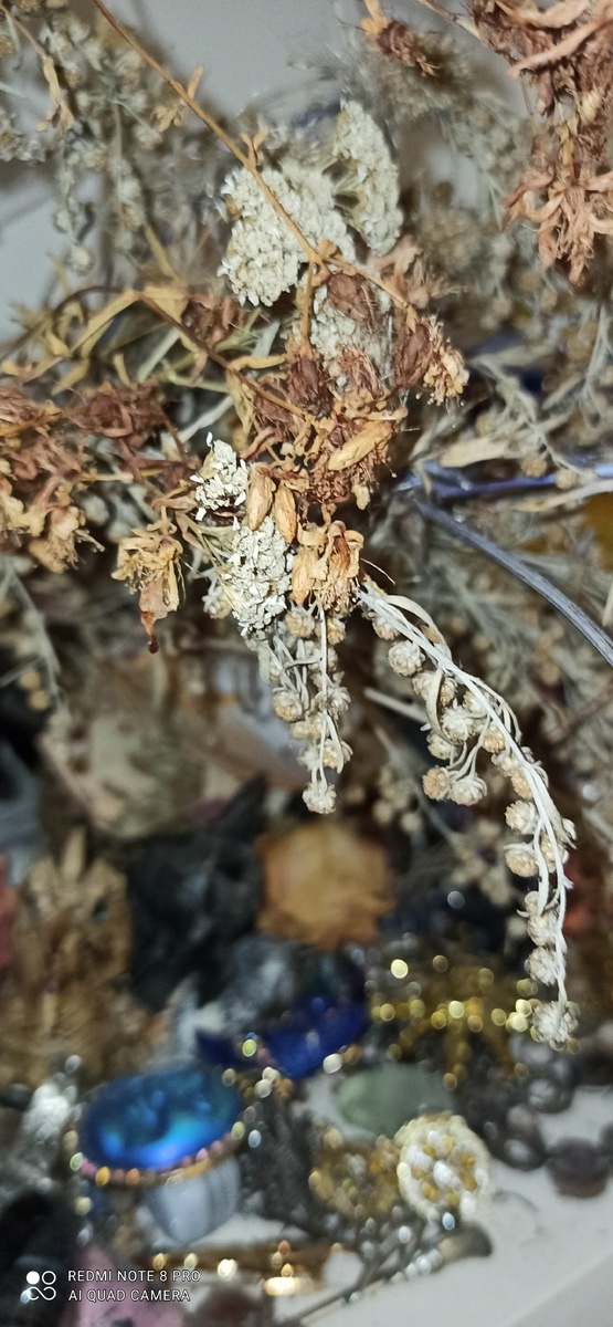 Фото автора статьи 