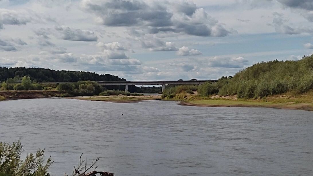    Фото: Профессор Сахаров/google.com/maps