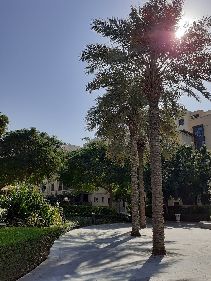 Прекрасный парк в центре Дубая