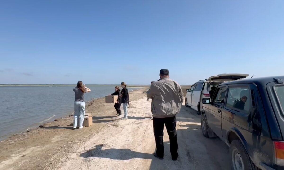    Фото оперативный штаб Краснодарского края