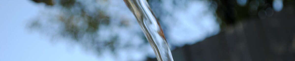    Фото: Сергей Егоров