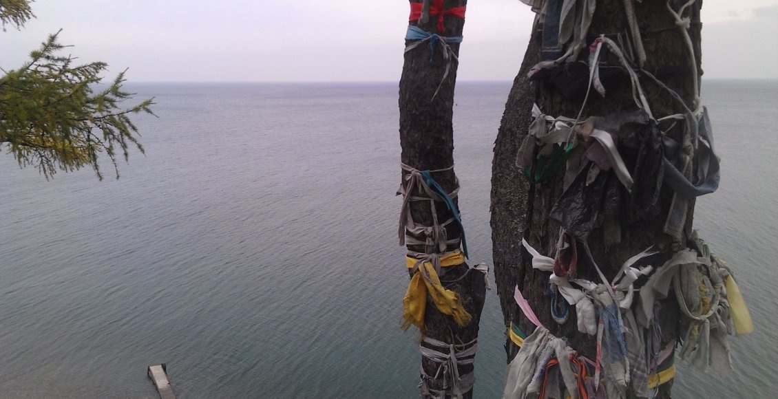    Фото: НИА "Экология"