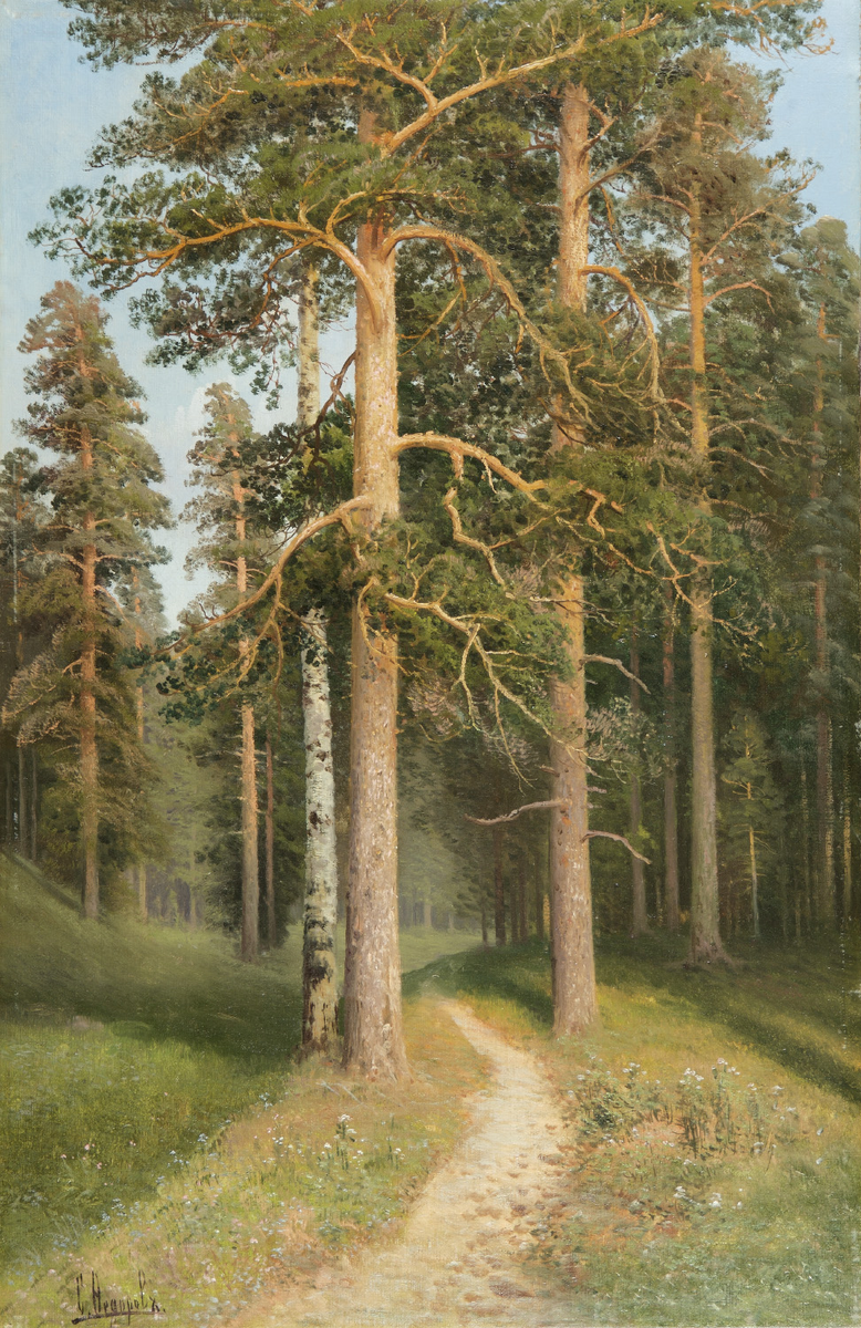 "Дорога среди сосен", С.Ф. Федоров. Частное собрание.