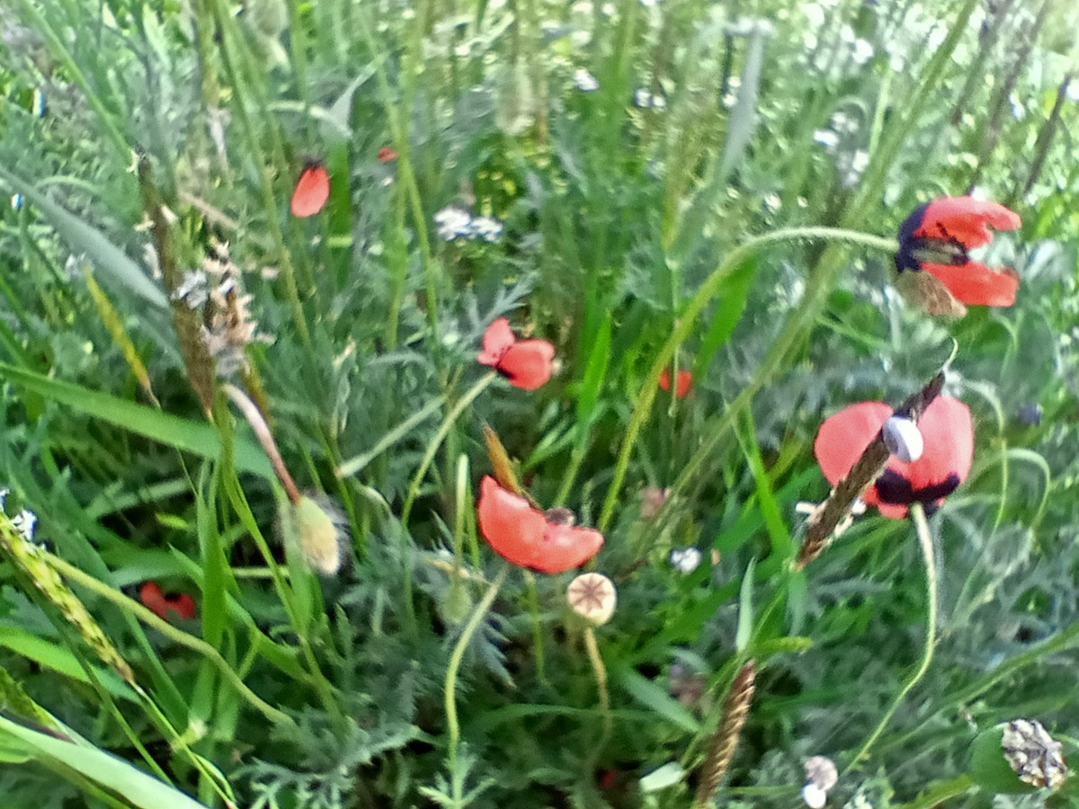 Такое вот у меня настроение