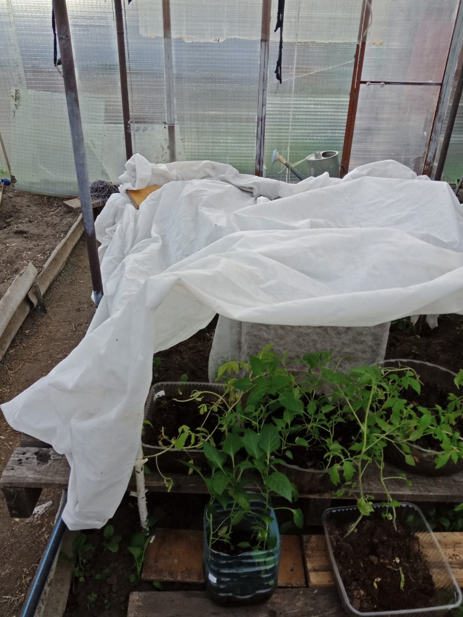 теплица в теплице