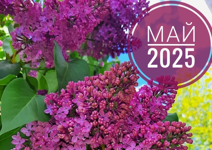 Май 2025