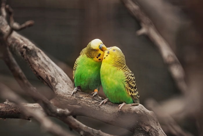 Любовь и отношения