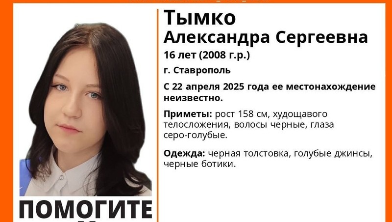      Фото: ПСО «ЛизаАлерт»