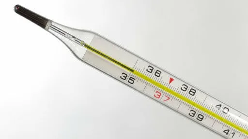 Температура тела ниже 36,0 °С: патофизиолог рассказала – в чем причины и насколько это опасно