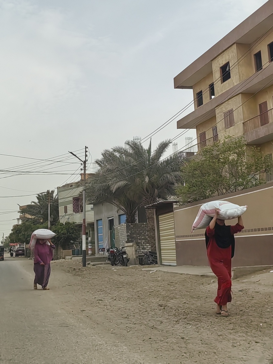 Аль Файюм, 23.04.2025