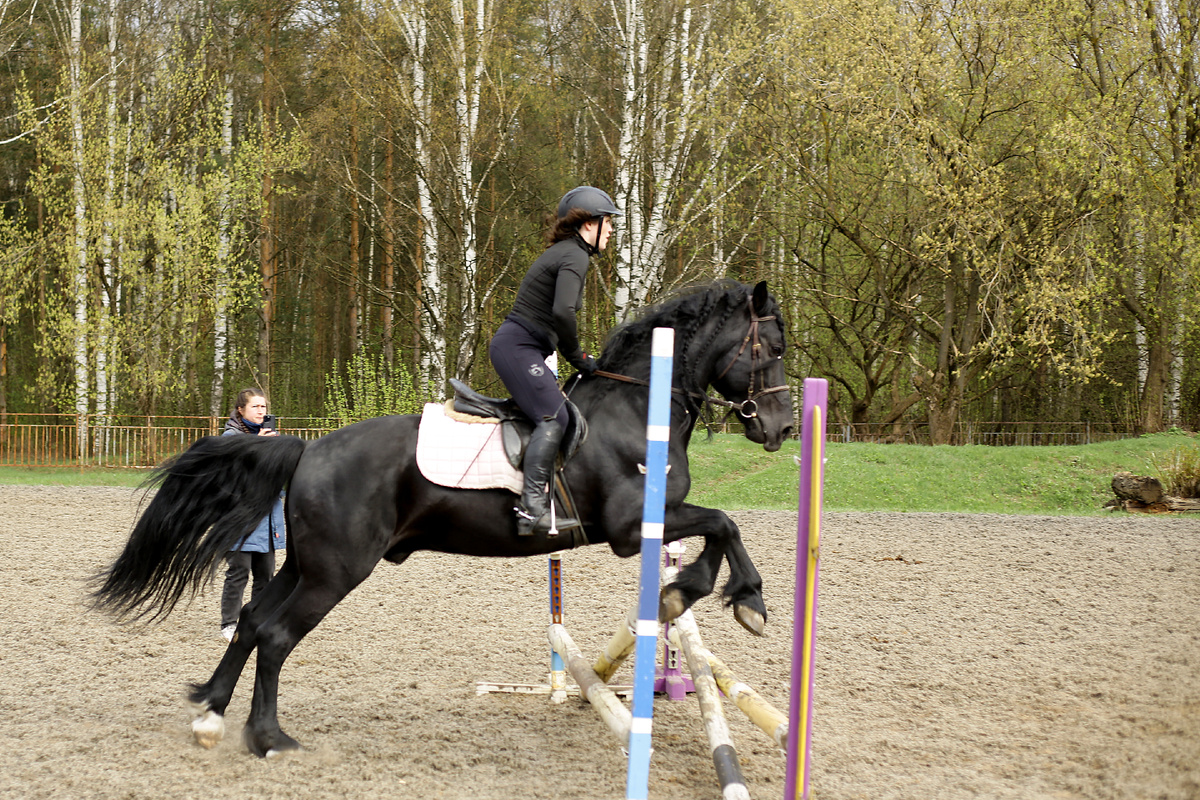Мой первый опыт съёмки канкура.
