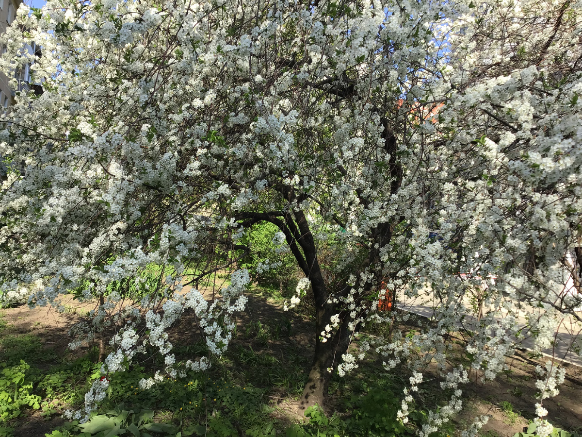 Если жизнь скучна и бессмысленна, создайте свой фильм. Красота да и только! Что в жизни, что в фильме. Фото автора. 