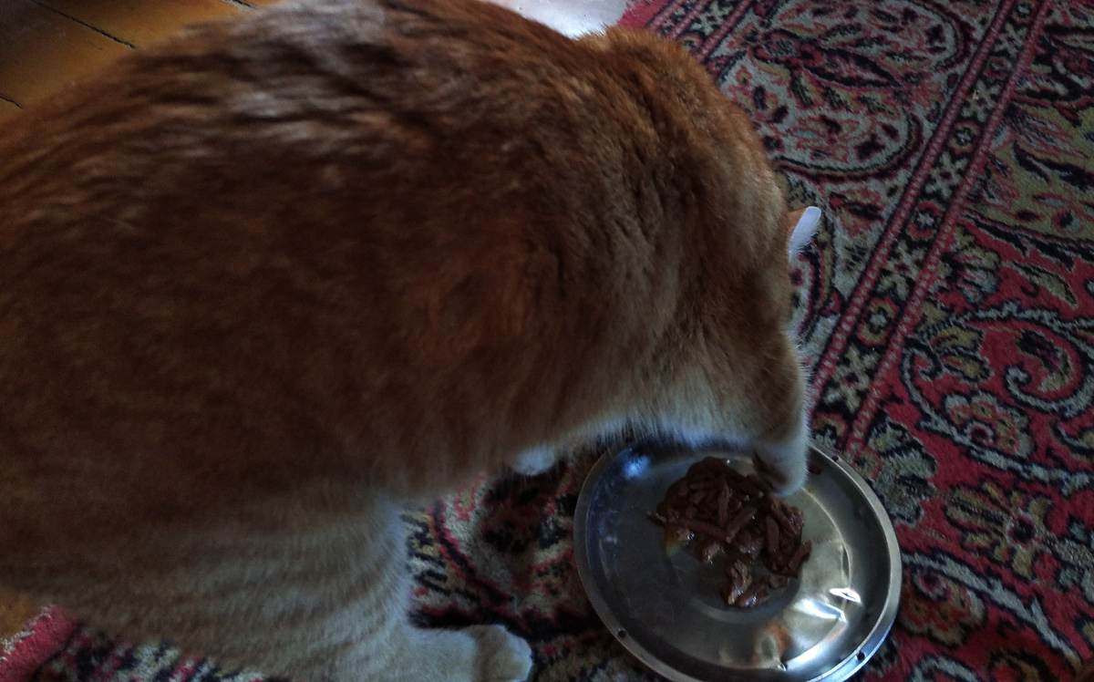 личное фото