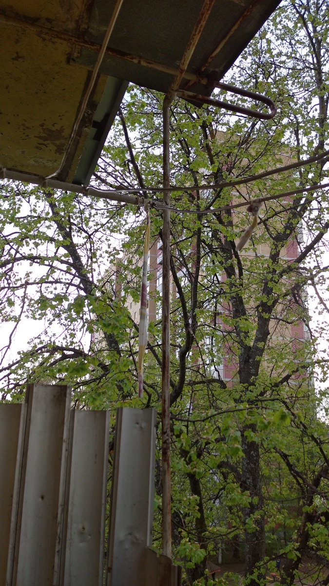 личное фото