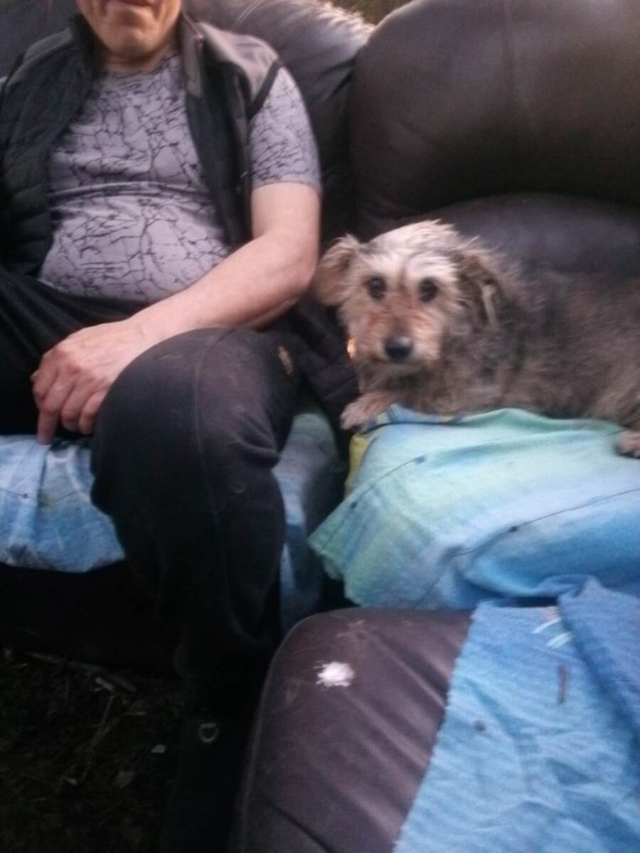 Фото автора. 