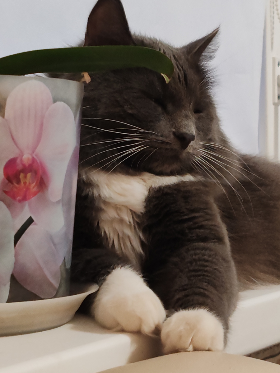 Фото автора канала. 