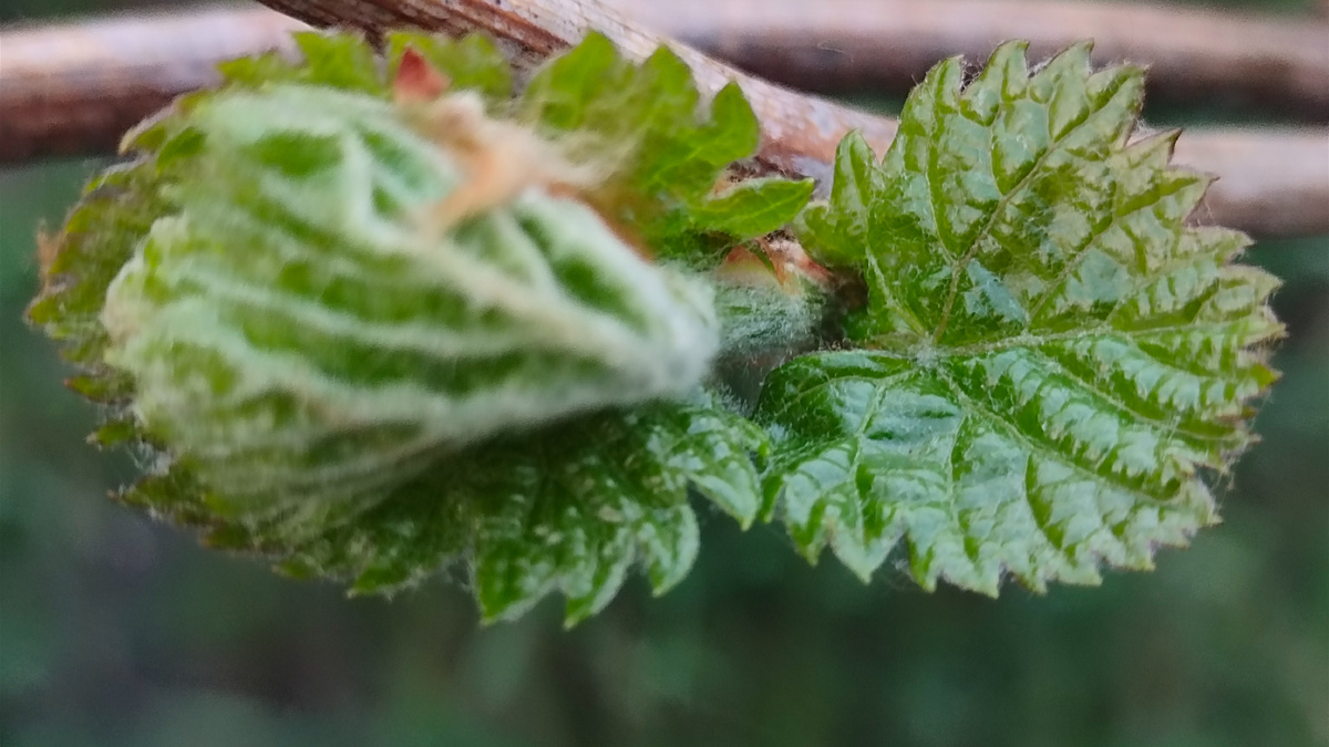 Процесс пошёл! 