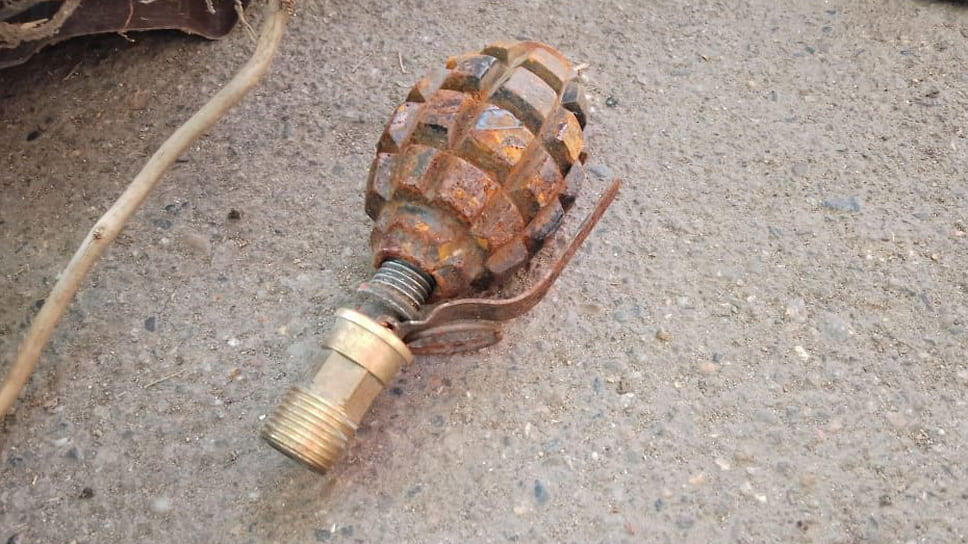 Фото: t.me / rosgvard_krasnodar