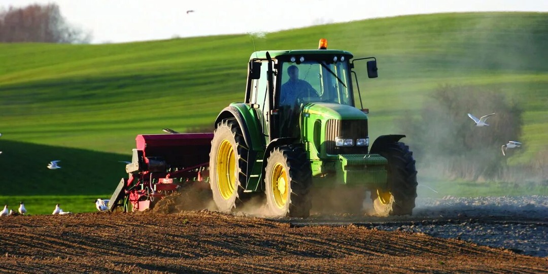 Учебник Русского языка Часть2 класс 3 Стр 123 Упр 219