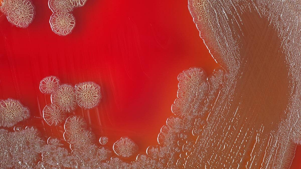    Фото: Shutterstock