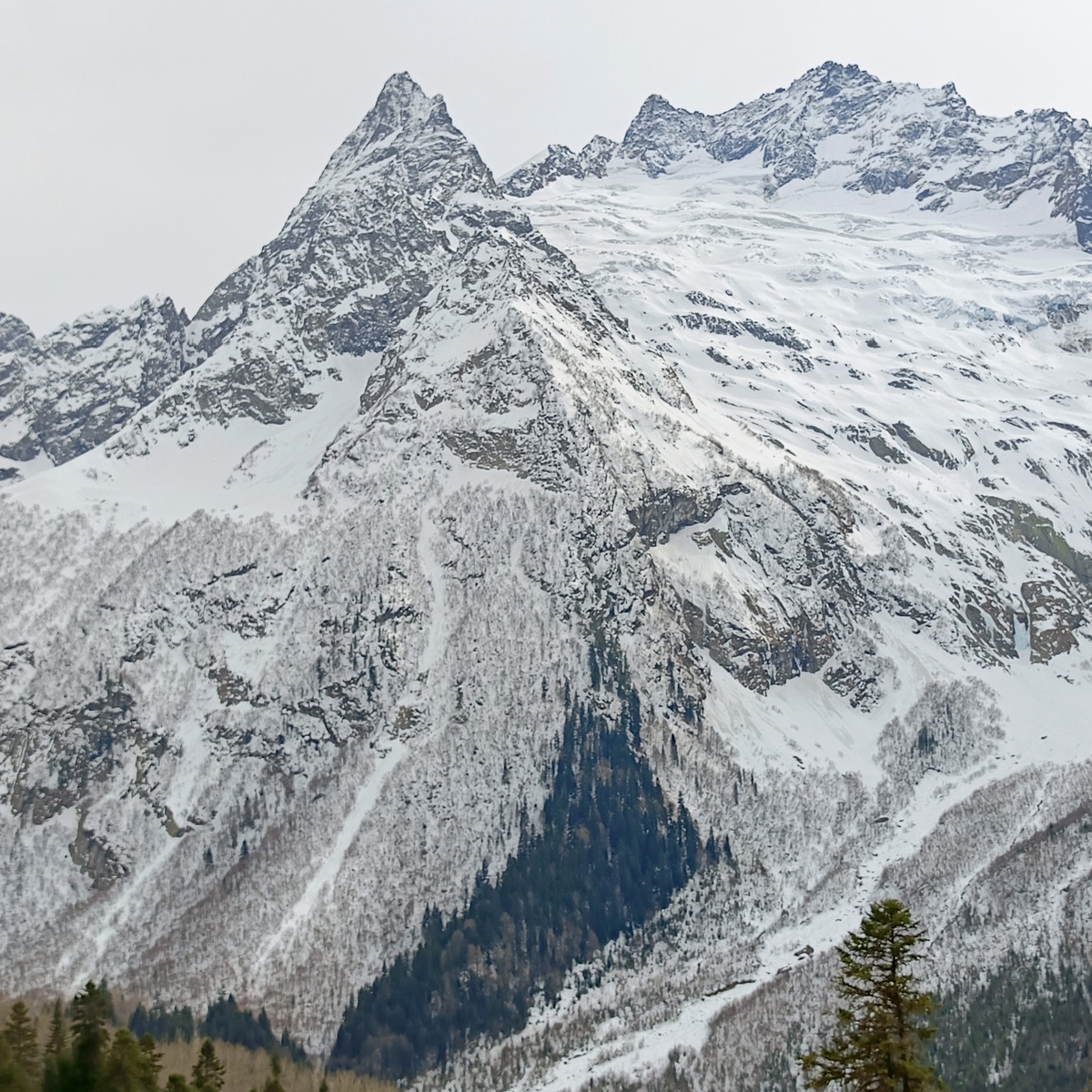 Горнолыжный курорт Домбай. Спускались на горных лыжах по лесной трассе, сделали отличное фото.