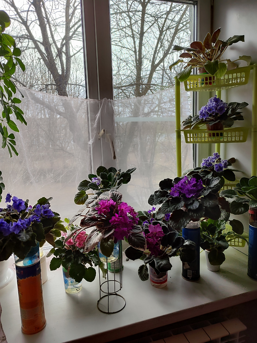 Немного моей красоты вам в ленту. 