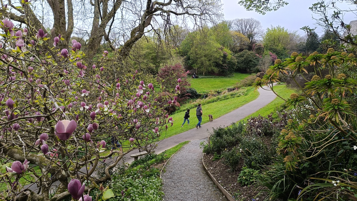 В усадьбе Колтон